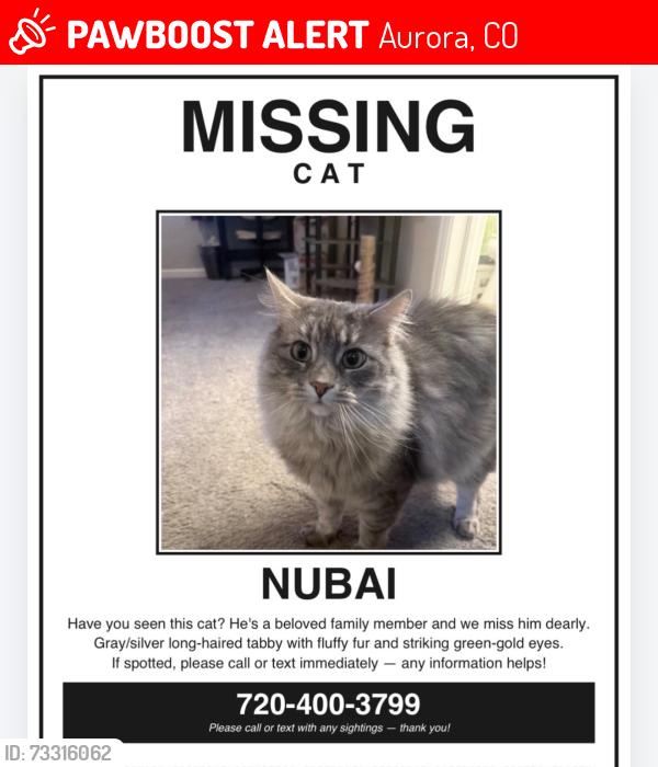 Lost Male Cat last seen Chambers and Hampden, Aurora, CO 80014