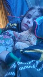Lost Male Cat last seen North hobart, North Hobart, TAS 7000