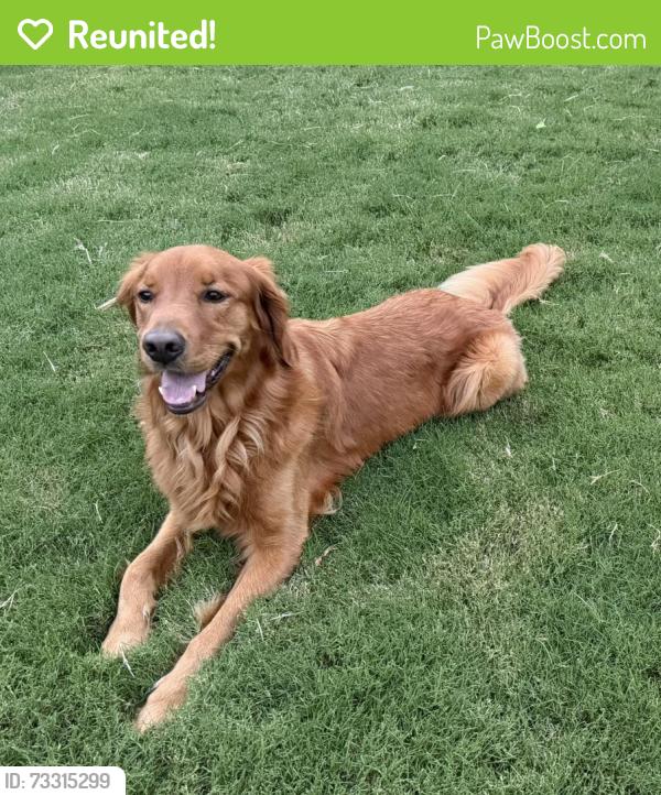 Reunited Male Dog last seen Manor at Abner creek neighbourhood. Near Abner creek schools, Greer, SC 29651
