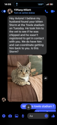 Found/Stray Male Cat last seen Near n Lucas, Fayetteville, NC 28307