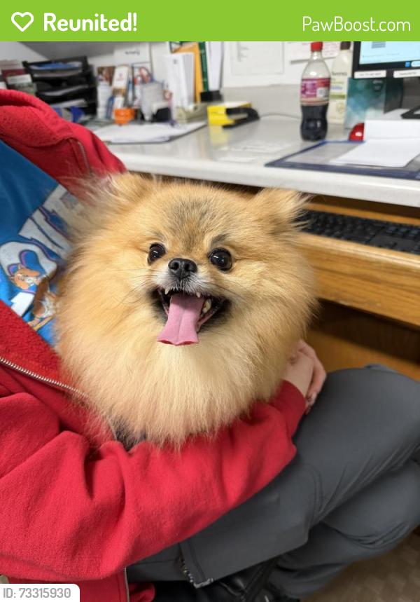 Reunited Male Dog last seen Devonshire Community, Fulton County, GA 30092