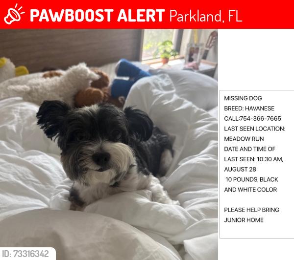 Lost Male Dog last seen Meadow run, Parkland, FL 33076