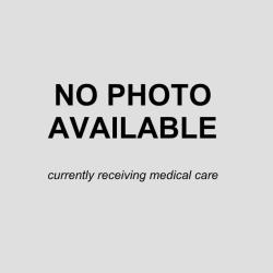Shelter Stray Male Dog last seen GEMBLER, 4710 TX-151, San Antonio, TX 78227, USA