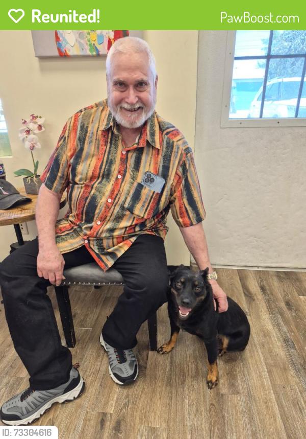 Reunited Male Dog last seen Murfreesboro Road, Nashville, TN 37217
