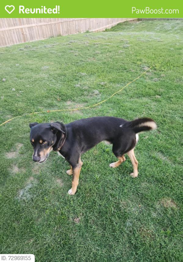 Reunited Male Dog last seen Pine Valley community off Hanging Rock Road, Boiling Springs, SC 29316