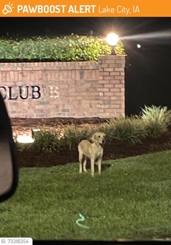 Found/Stray Unknown Dog last seen Lake city country club towards the back entrance, Lake City, IA 51449