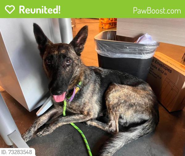 Reunited Female Dog last seen Near Briarcliff rd and N. Decatur Intersection, Atlanta, GA 30306