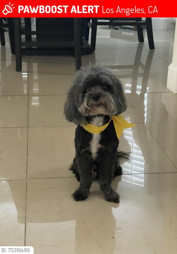 Lost Male Dog last seen Tuscan dr & Neon Way, Los Angeles, CA 91344