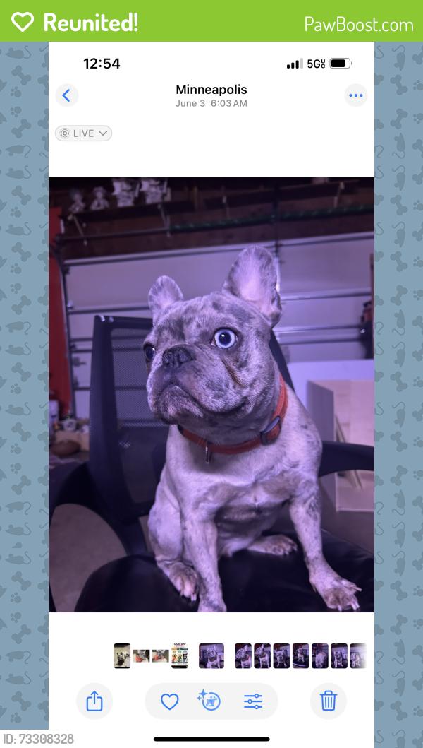 Reunited Female Dog last seen 81st Toledo Ave Brooklyn park, Brooklyn Park, MN 55444