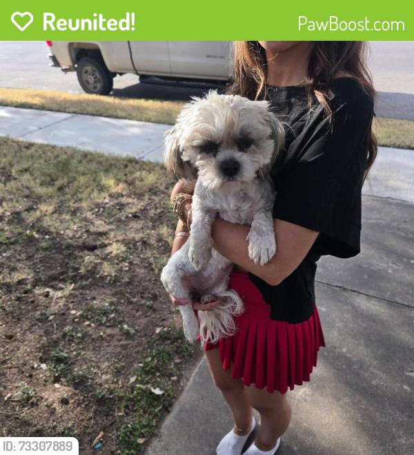 Reunited Female Dog last seen Tennessee beside Midland High School, Midland, TX 79701