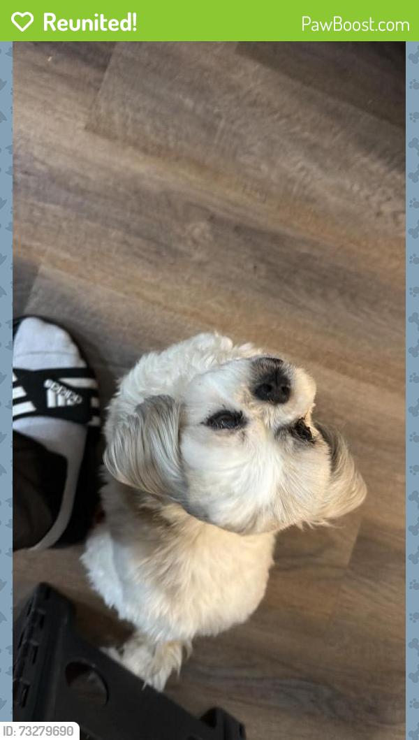 Reunited Female Dog last seen seyton drive corner Lovell Ln and seyton drive corner tyrell pler, Ottawa, ON K2H 9B2