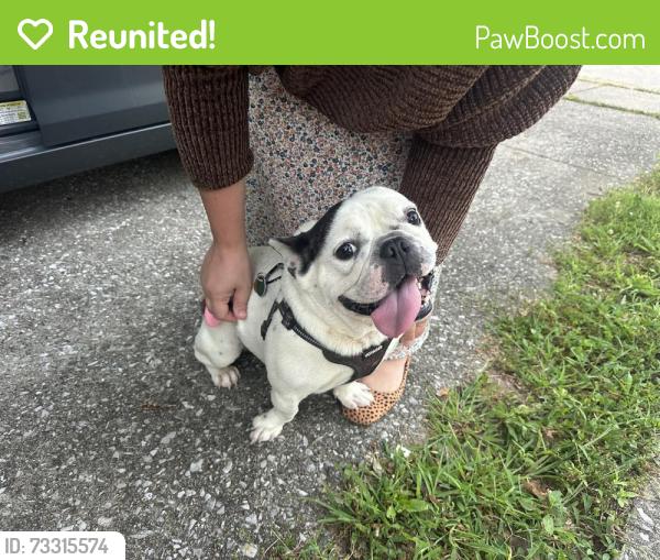 Reunited Unknown Dog last seen Masters lane, Lexington, KY 40515