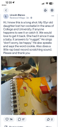 Lost Unknown Bird last seen College Ave and university, last seen heading northeast toward Rolando., San Diego, CA 92115