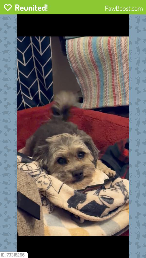 Reunited Male Dog last seen Timberhill and Grissom, San Antonio, TX 78238