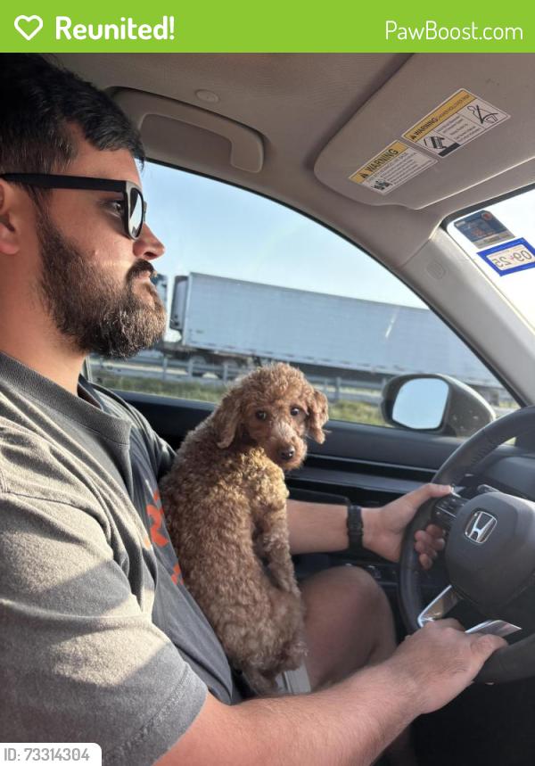 Reunited Female Dog last seen Dry Canyon Way & Firerock Rd, Haslet, TX 76052