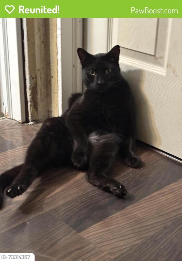 Reunited Male Cat last seen South view elementary/wilson apmts, Muncie, IN 47305