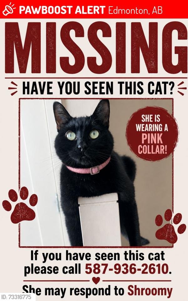 Lost Female Cat last seen 177st sw 7ave, Edmonton, AB 