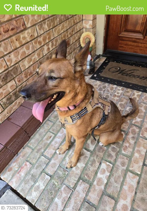 Reunited Female Dog last seen Near blk Kiowa River, Houston, TX 77429