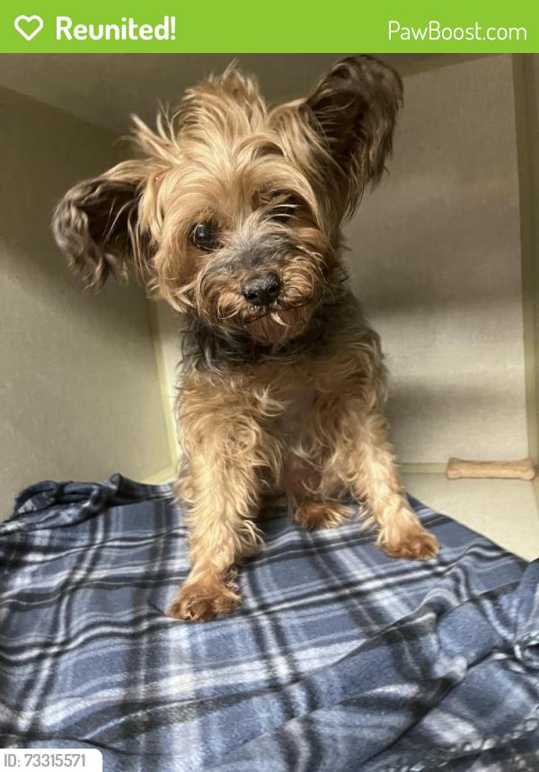 Reunited Female Dog last seen Hefner Road and May Avenue, OKC, Oklahoma City, OK 73120