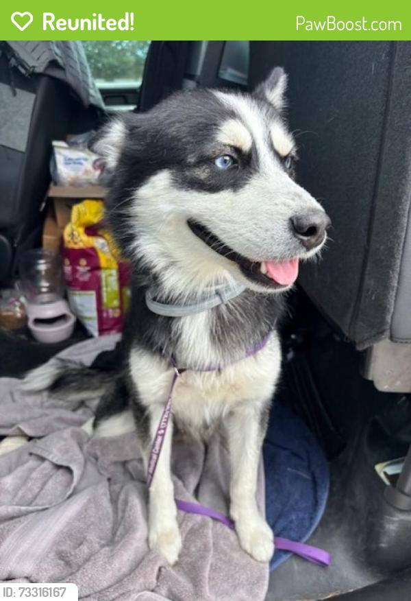 Reunited Male Dog last seen Port St. Lucie, Port St. Lucie, FL 34986