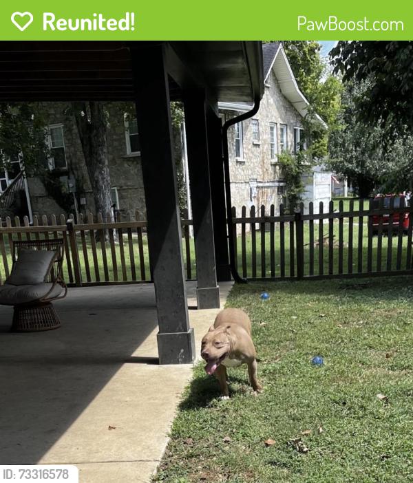 Reunited Male Dog last seen In front of red brick hse., Columbia, TN 38401