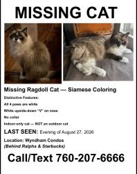 Reunited Male Cat last seen World Trade Drive/Highland Ranch Rd, San Diego, CA 92128