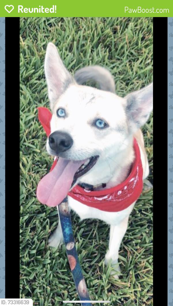 Reunited Male Dog last seen Caracara ave, North Weeki Wachee, FL 34613