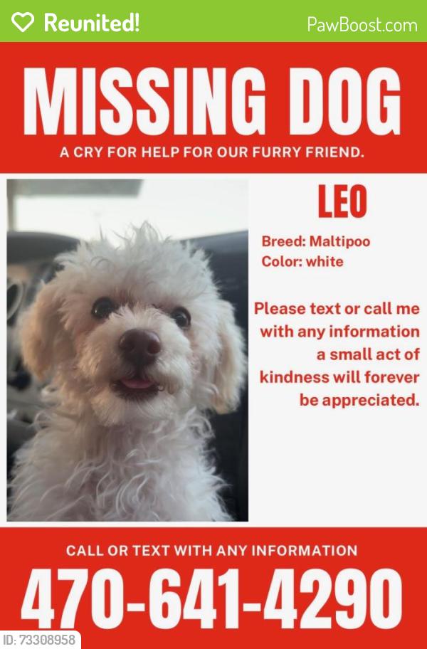 Reunited Male Dog last seen Evans St, Homer, GA 30547