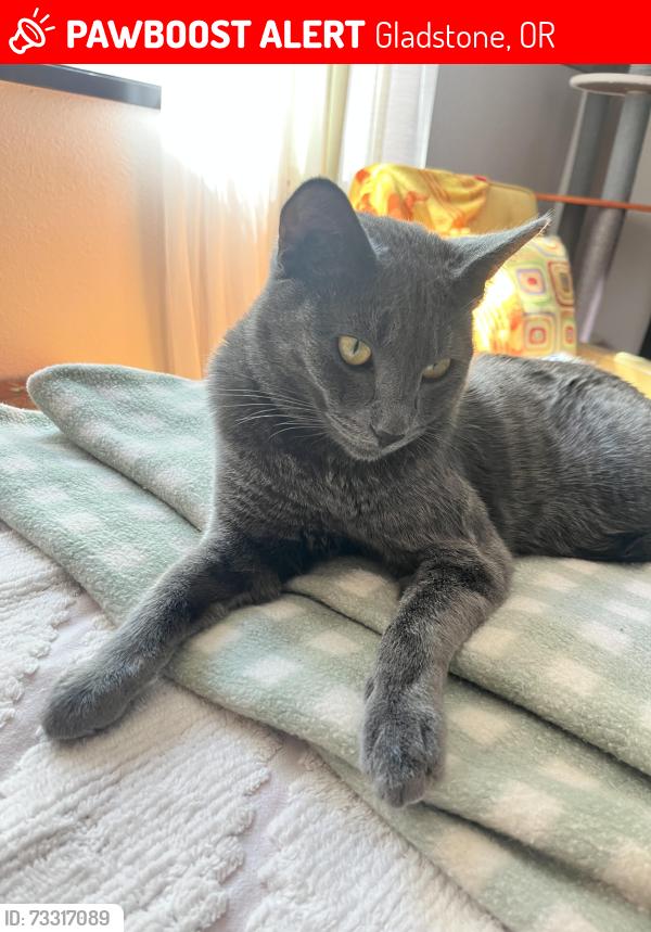 Lost Male Cat last seen Parkers street & Strawberries, Gladstone, OR 97027