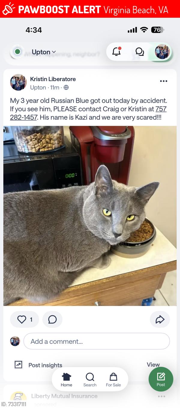 Lost Male Cat last seen Upon ests, Virginia Beach, VA 23454