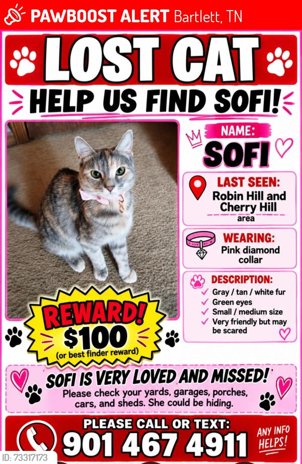 Lost Female Cat last seen Robin Hill, Cherry Hill, Dawn Hill, Bartlett, TN 38135