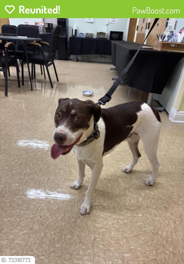 Reunited Male Dog last seen Mountain View community center, San Diego, CA 92113