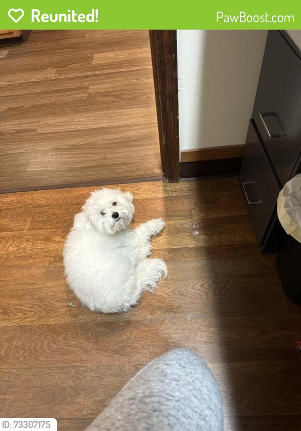 Reunited Male Dog last seen Running Deer & Crossridge, Charlotte, NC 28214