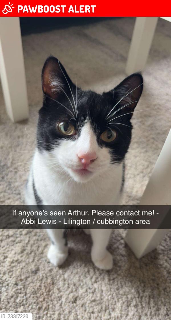 Lost Male Cat last seen Near tesco in cubbington, Royal Leamington Spa, England CV32 7AE