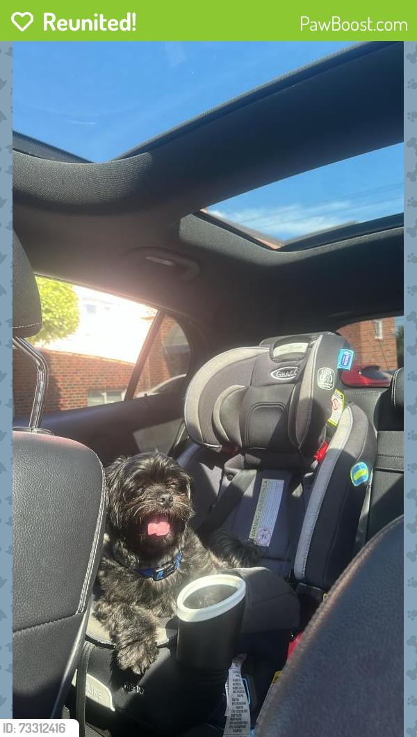 Reunited Male Dog last seen Bustleton & Grant, Philadelphia, PA 19115