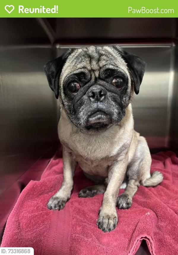 Reunited Male Dog last seen campo road / steele canyon road, Jamul, CA 91935