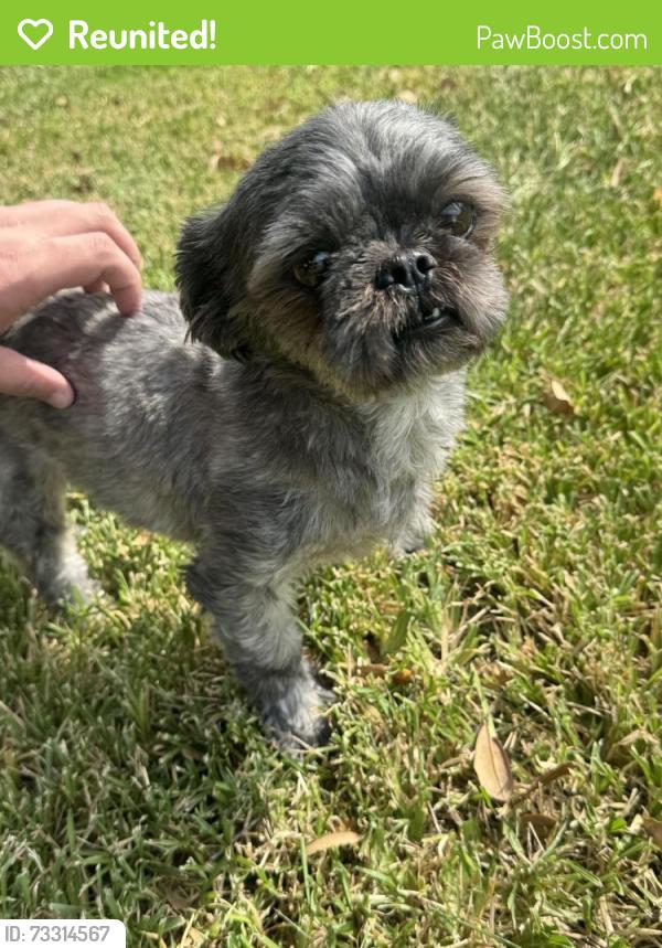 Reunited Male Dog last seen SPC Laramore Dr, Killeen, TX, USA, Killeen, TX 76548