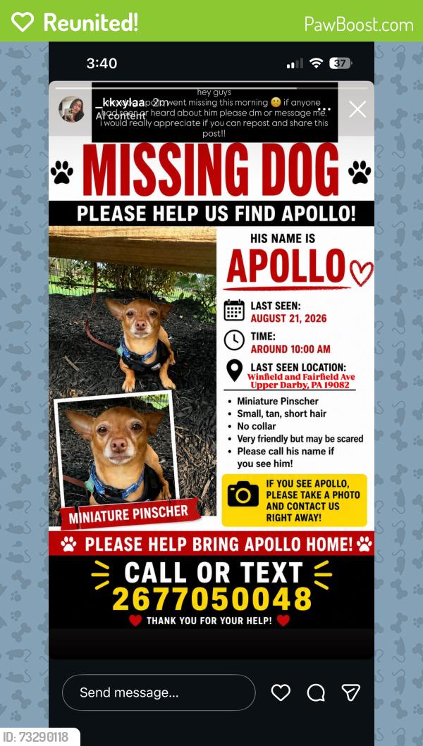 Reunited Male Dog last seen Fairfield ave & Winfield ave, Upper Darby Township, PA 19082