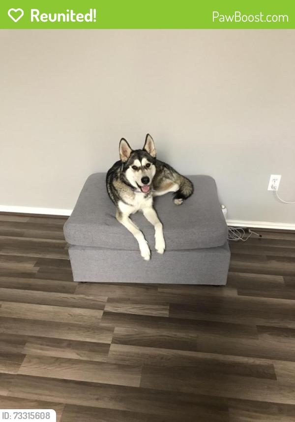 Reunited Female Dog last seen Rayford, Spring, TX 77386