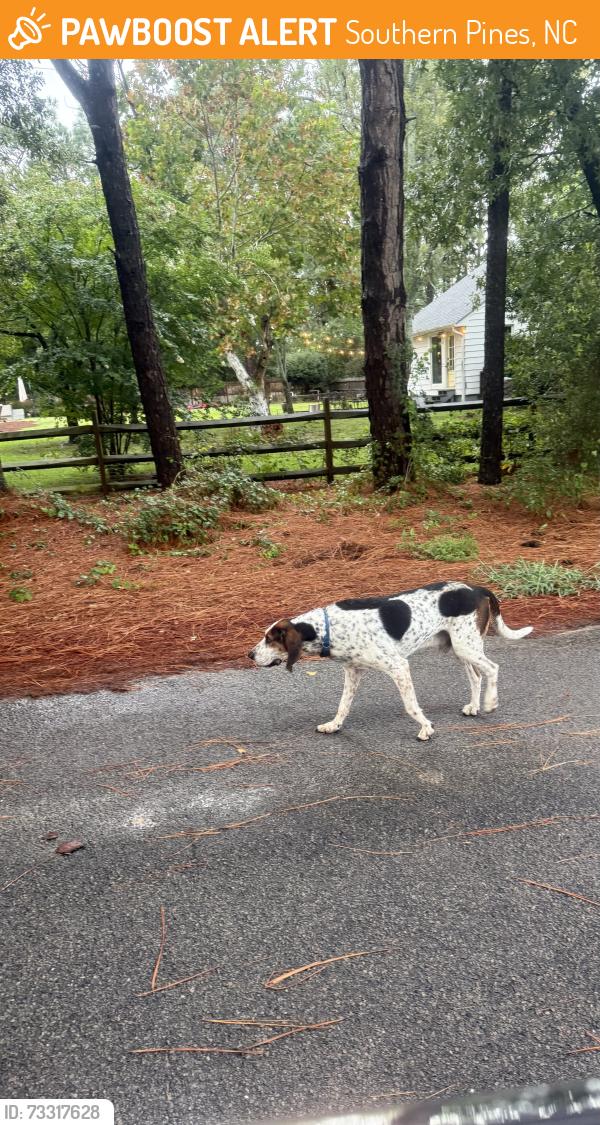 Found/Stray Male Dog last seen End of road, Southern Pines, NC 28387