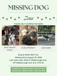 Lost Male Dog last seen 46th and Hillsborough, Tampa, FL 33610