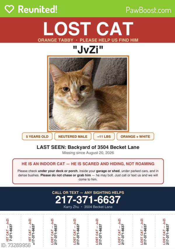 Reunited Male Cat last seen Near becket lane, Naperville, IL 60564