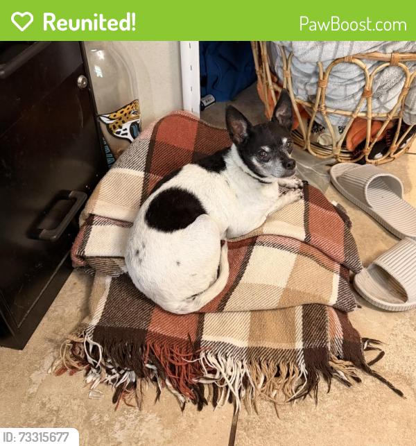 Reunited Female Dog last seen Jones Rd/Commonwealth/Old Plank Rd, Jacksonville, FL 32220
