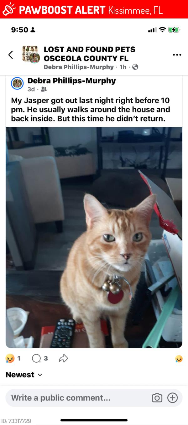 Lost Male Cat last seen On Neptune Road next to Cypress Shores, Kissimmee, FL 34744