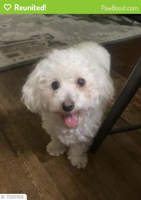 Reunited Female Dog last seen San Luis St, Los Banos, CA 93635