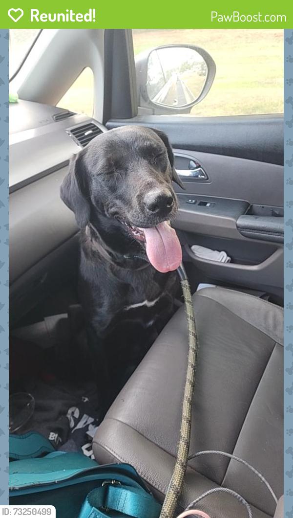 Reunited Female Dog last seen Crawford ga, Crawford, GA 30630