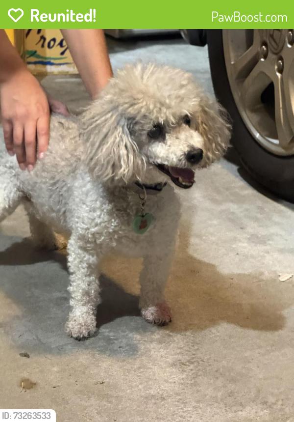 Reunited Male Dog last seen 147th street, young street, Bennington, NE 68007