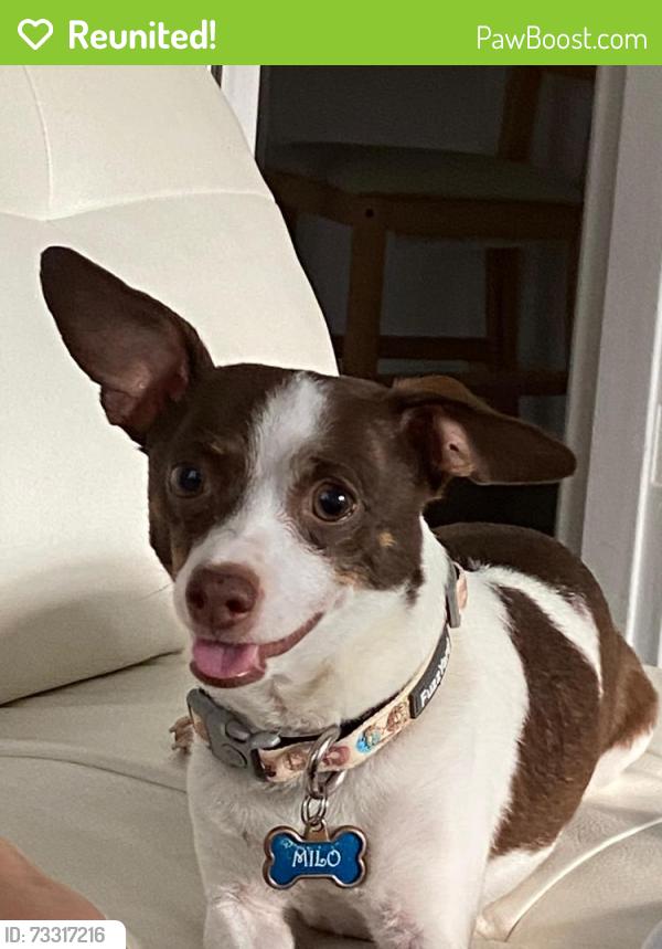 Reunited Male Dog last seen Ravenwood neighborhood, Cincinnati, OH 45242
