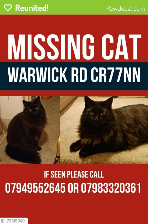 Reunited Male Cat last seen Warwick rd, Greater London, England 
