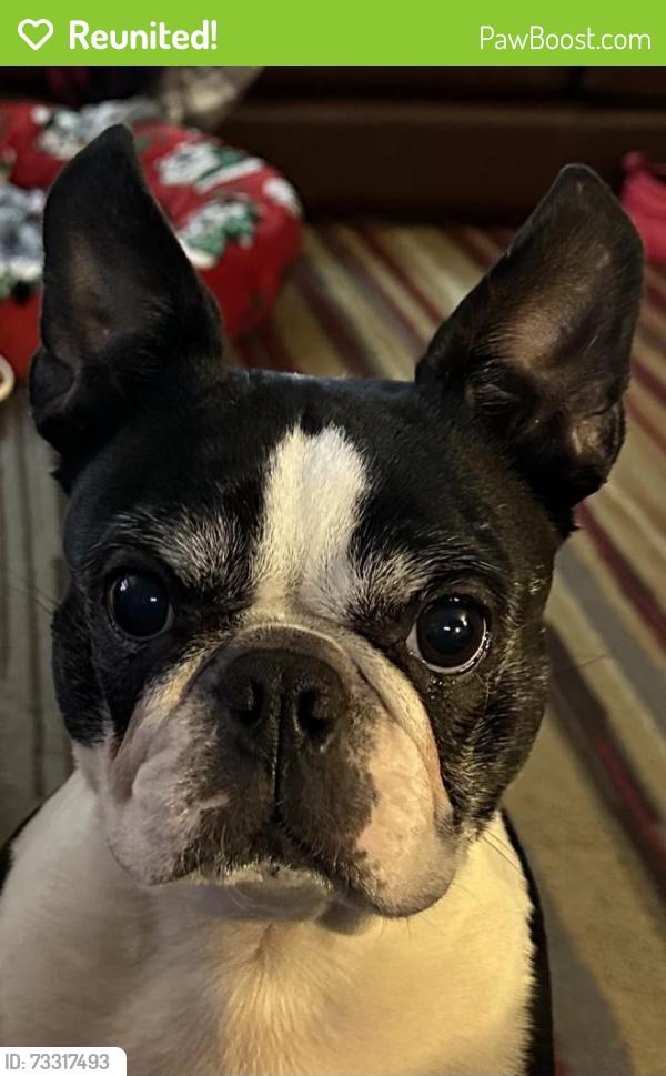 Reunited Female Dog last seen Near sw 216th ave, Beaverton, OR 97006